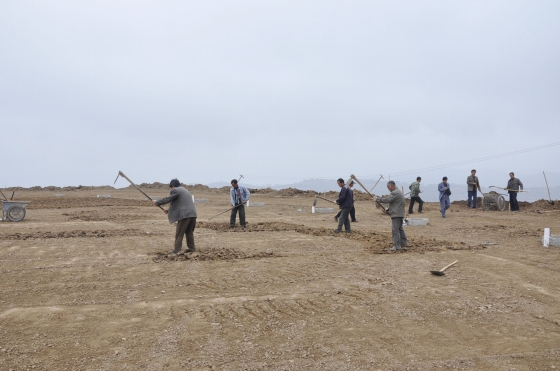 王东红深入检查王尹云山国家坡耕地水土流失综合治理试点工程建设进展